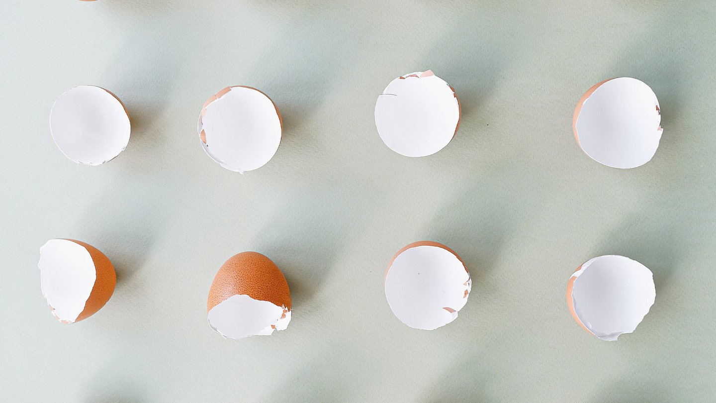 Das Foto zeigt leere Eierschalen.