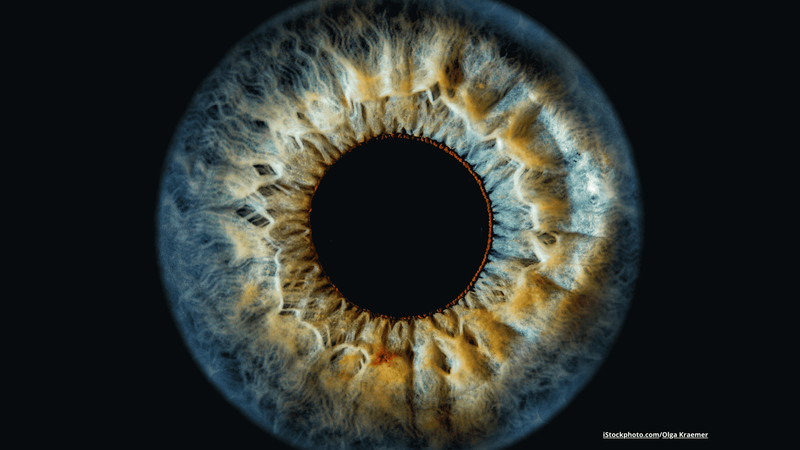 Iris-Fotografie selbst erstellen: Schritt für Schritt zum einzigartigen Geschenk