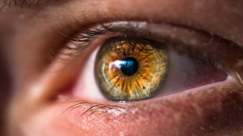 Die Kunst des Blinzelns: Wie oft blinzelt man am Tag?
