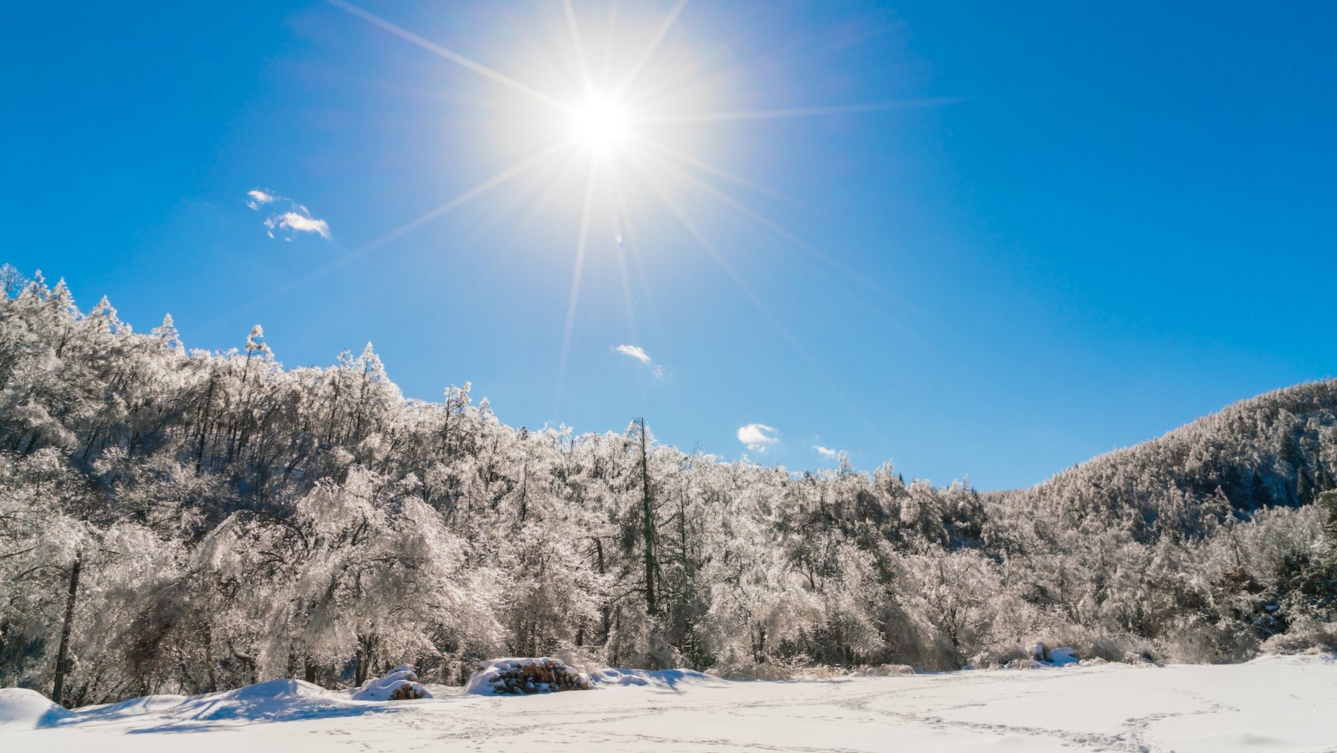 Das Foto zeigt eine verschneite Landschaft, die von der Sonne beleuchtet wird.