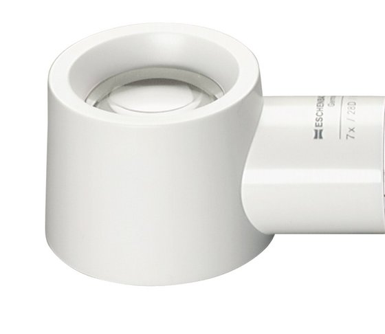 Tête de loupe