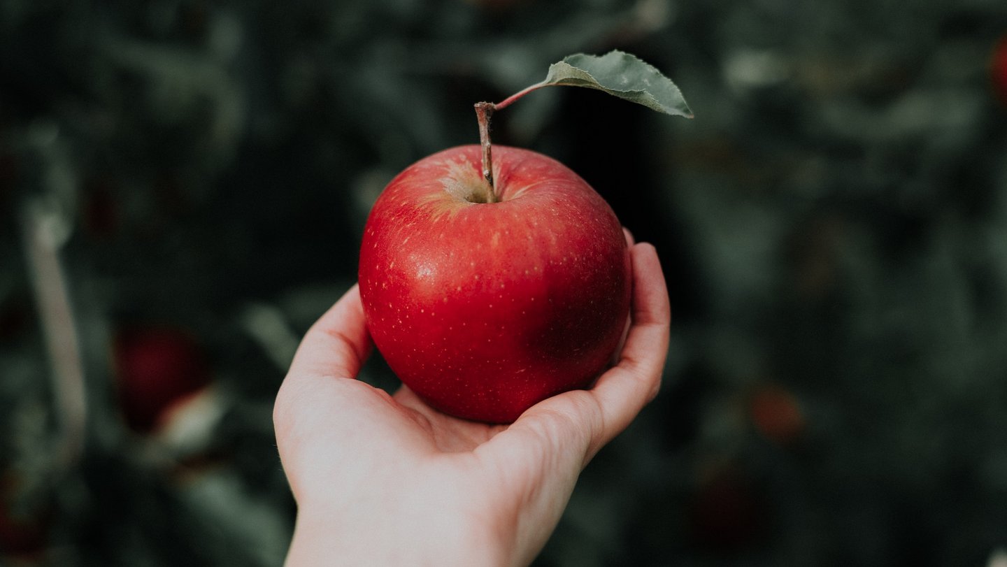 Foto eines roten Apfels.