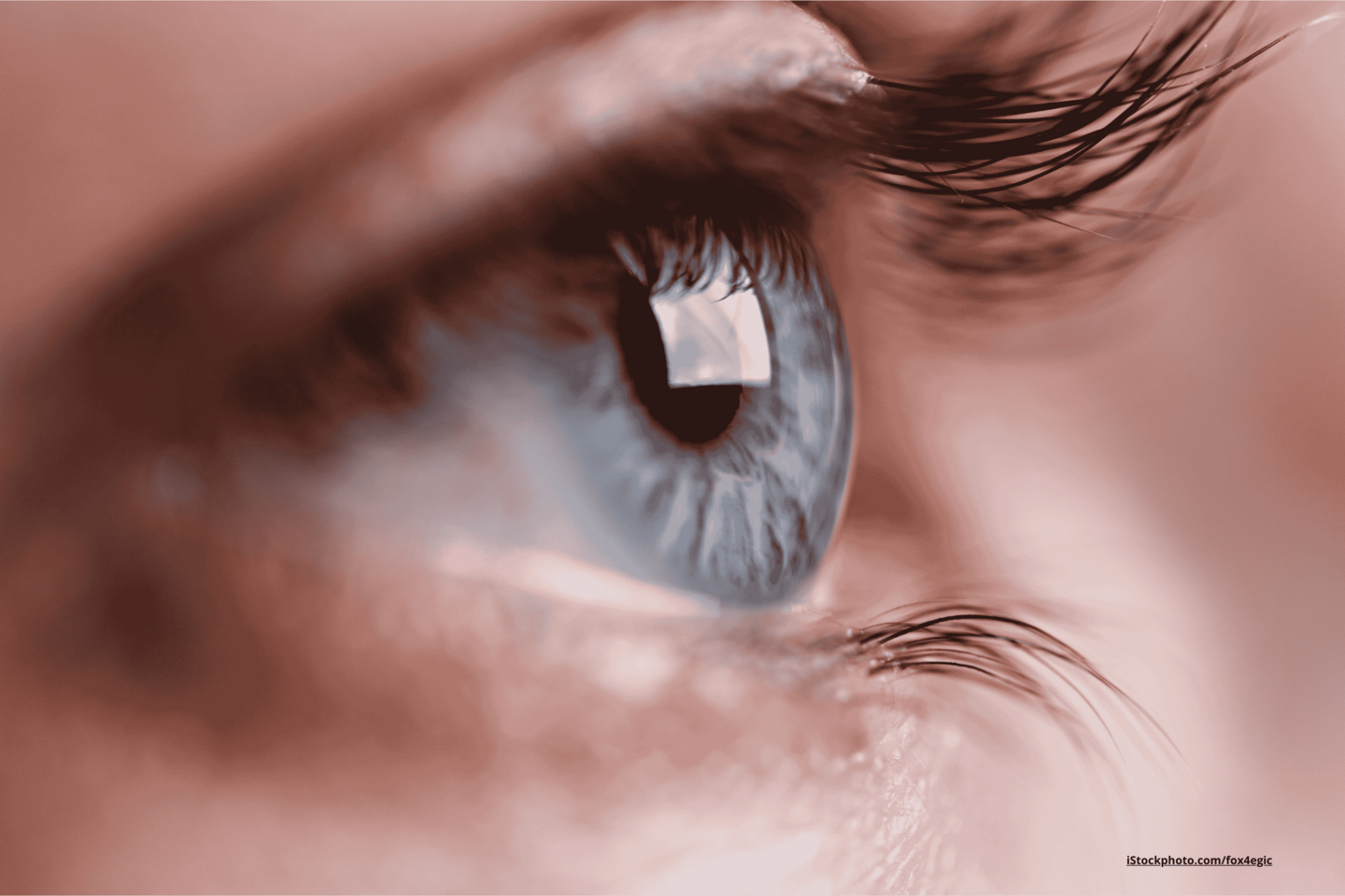 Das Foto zeigt ein blaues Auge von der Seite in Nahaufnahme.