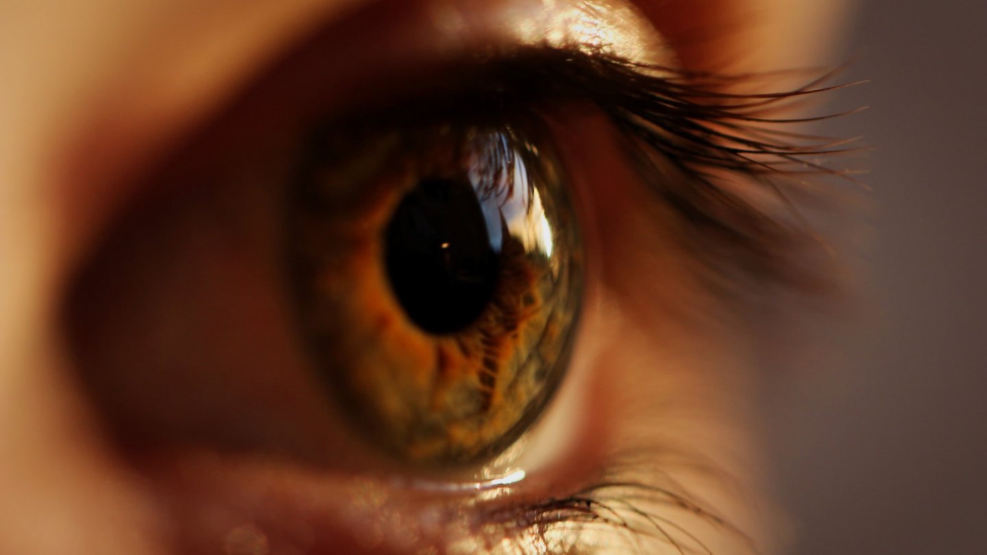 Das Foto zeigt ein grünes Auge in Nahaufnahme.