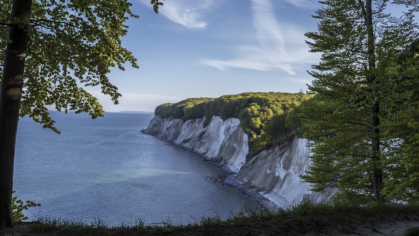 as Bild zeigt die Kreidefelsen im Nationalpark Jasmund auf Rügen.