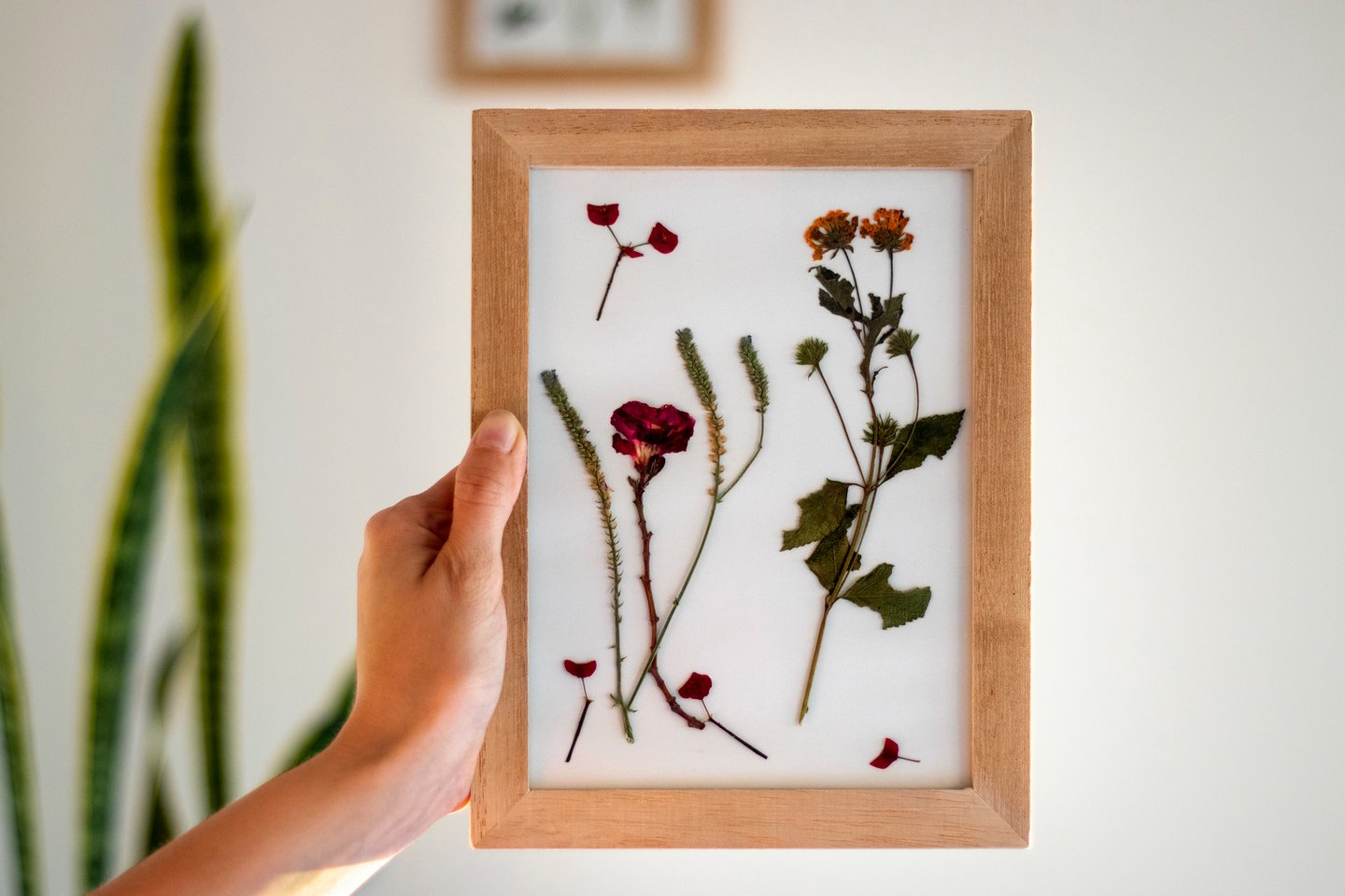 Das Foto zeigt einen Bilderrahmen mit getrockneten Blumen.