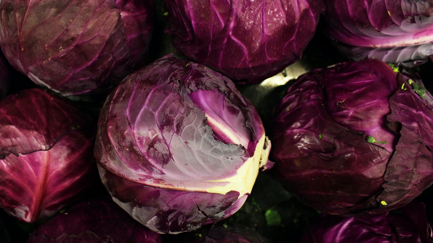 Foto von mehreren Köpfen Rotkohl.