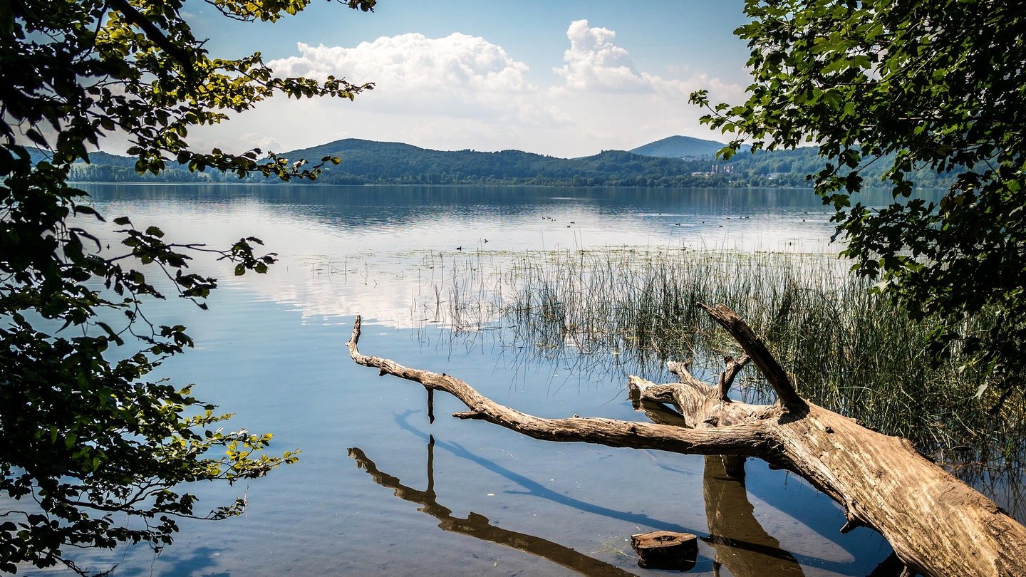 Das Bild zeigt das Ufer des Laacher Sees bei Sonnenschein.