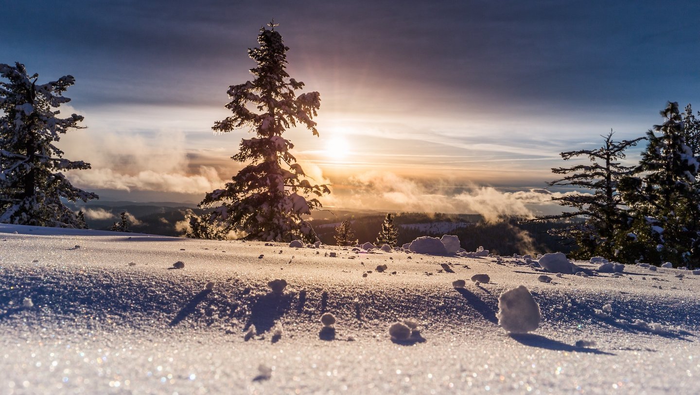 Foto der Wintersonne, die vom Schnee reflektiert wird.