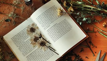 Das Bild zeigt getrocknete Pflanzen in einem Buch. 