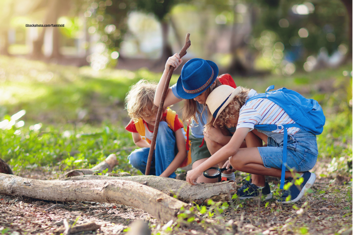 Kinder erkunden die Natur. Kinder wandern im sonnigen Park.