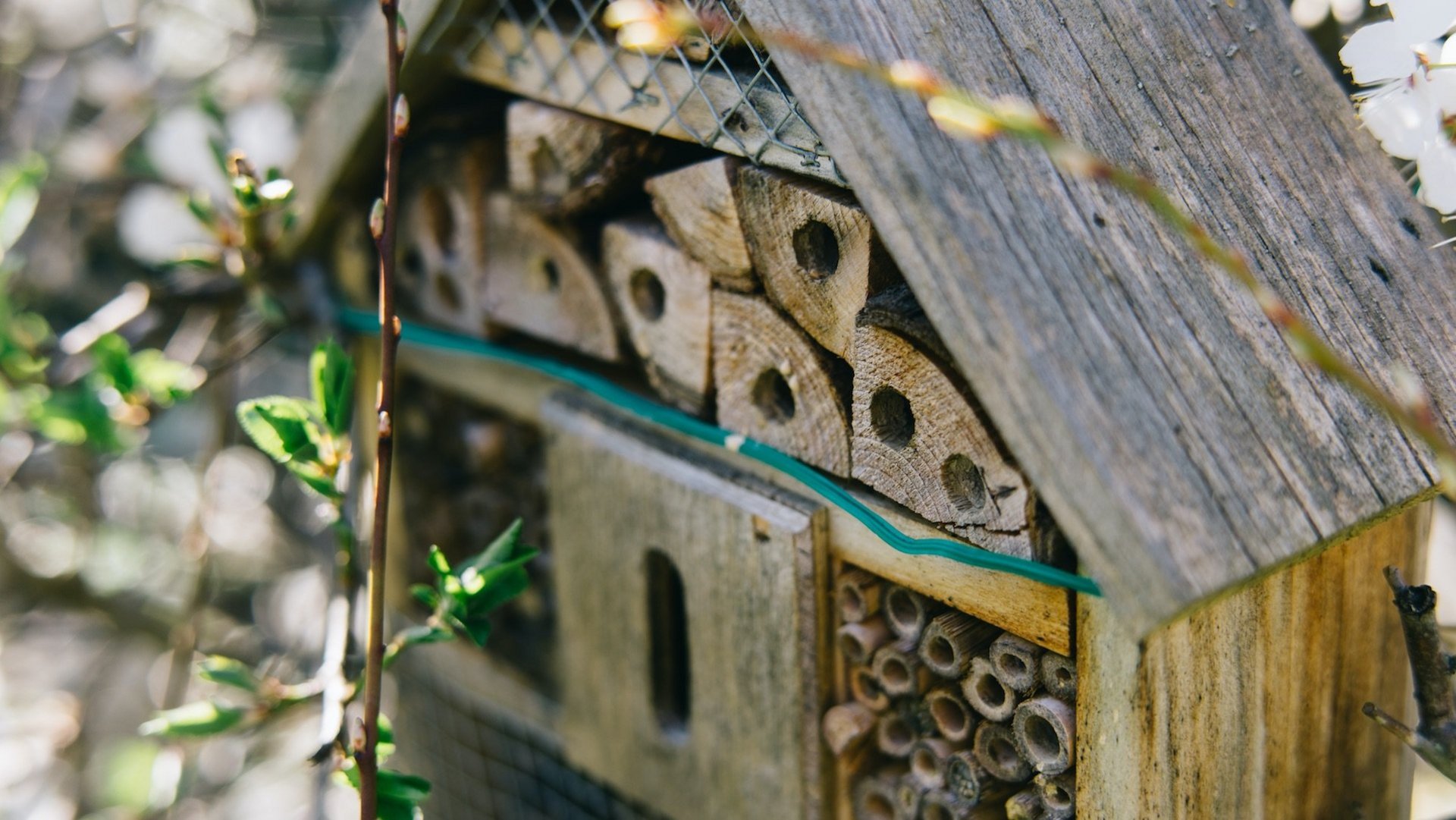 Das Bild zeigt ein Insektenhotel in einem Garten.