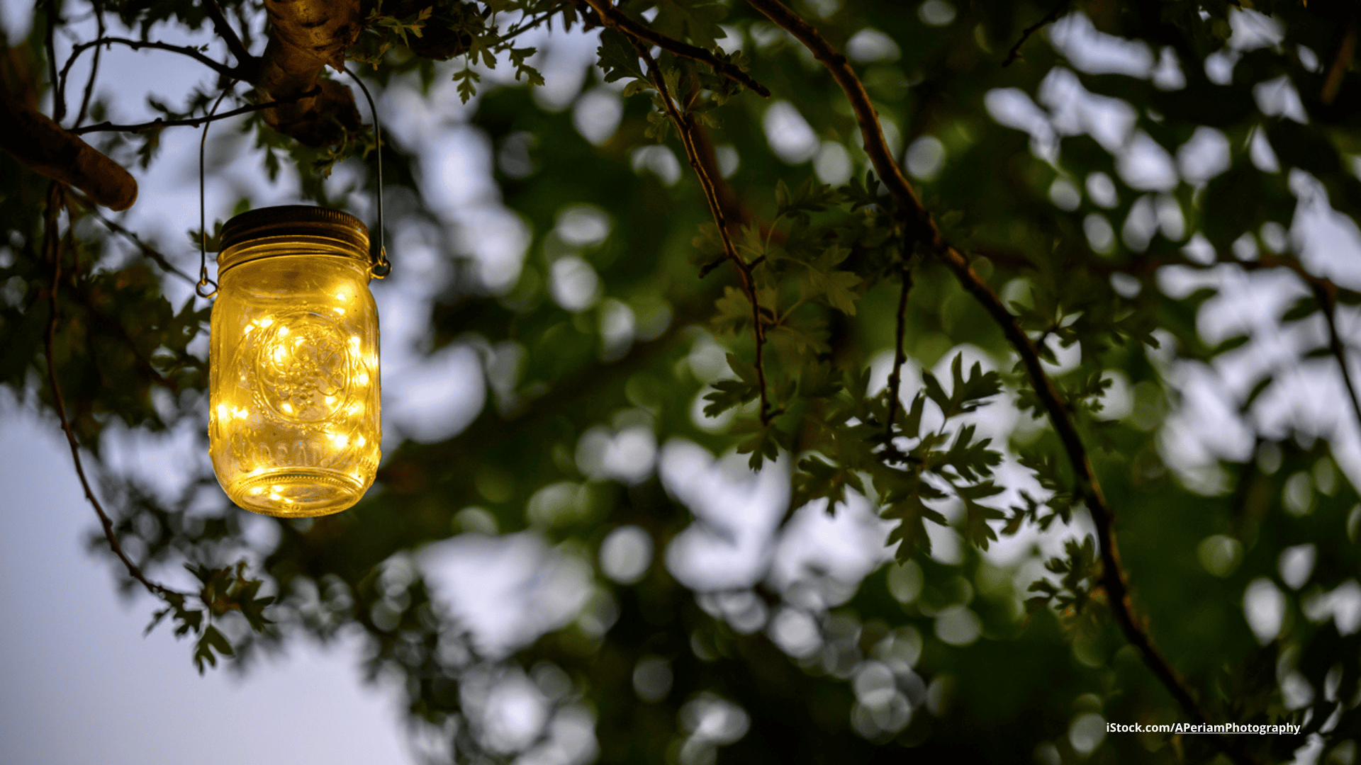 Das Foto zeigt Solarleuchten in einem Glas, das in der Abenddämmerung an einem Baum hängt.