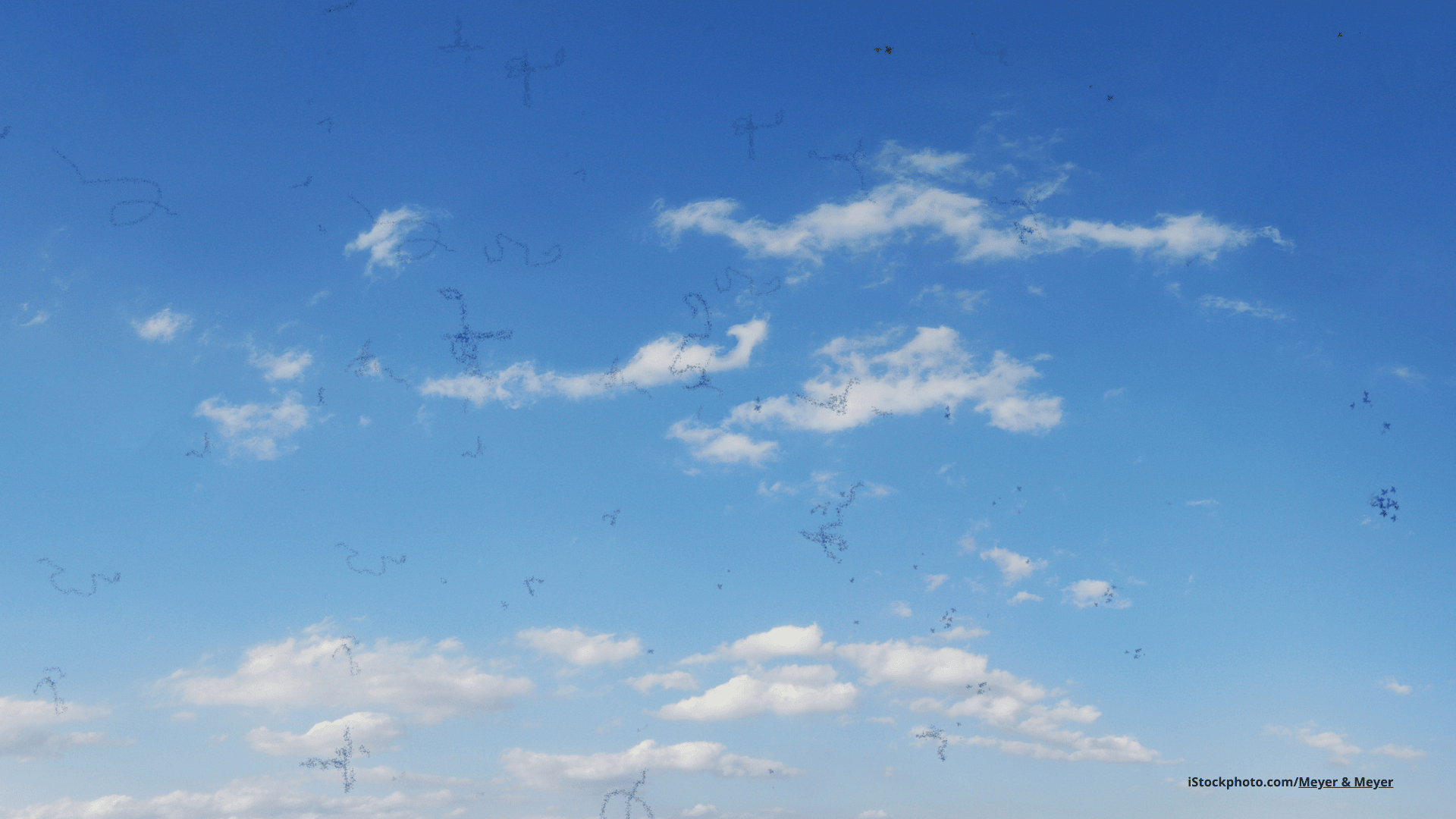 Das Foto zeigt einen blauen Himmel und davor sogenannte “Mouches Volantes”.