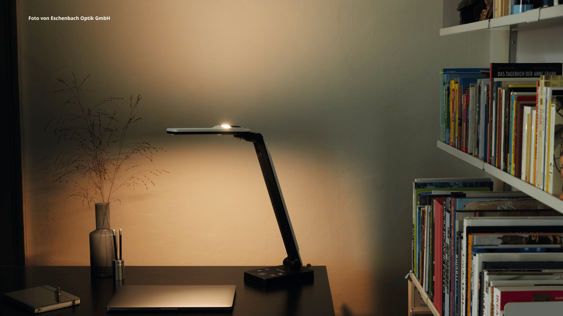 Das Foto zeigt die Tischleuchte elumentis® LED von Eschenbach Optik auf einem Schreibtisch stehend und warm leuchtend. 